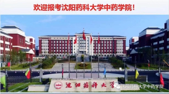 图片7
